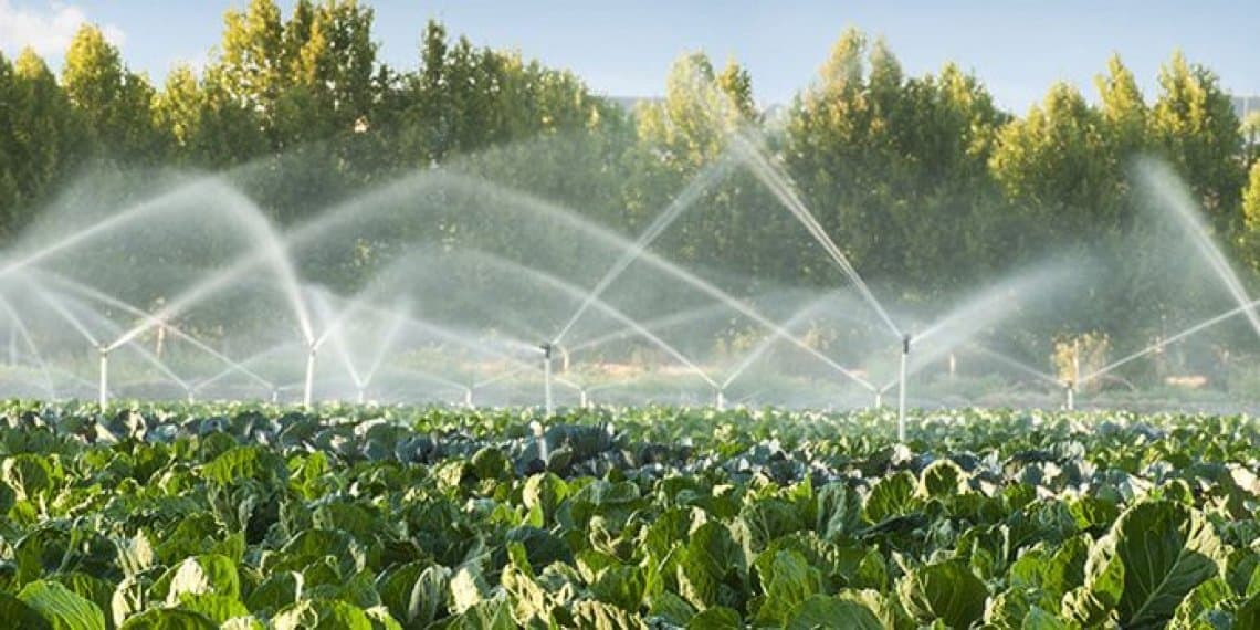 L’utilizzo idrico in agricoltura non è sostenibile