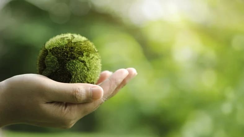 Direttiva UE n° 2024/1203: i reati ambientali delle organizzazioni criminali saranno maggiormente perseguibili 
