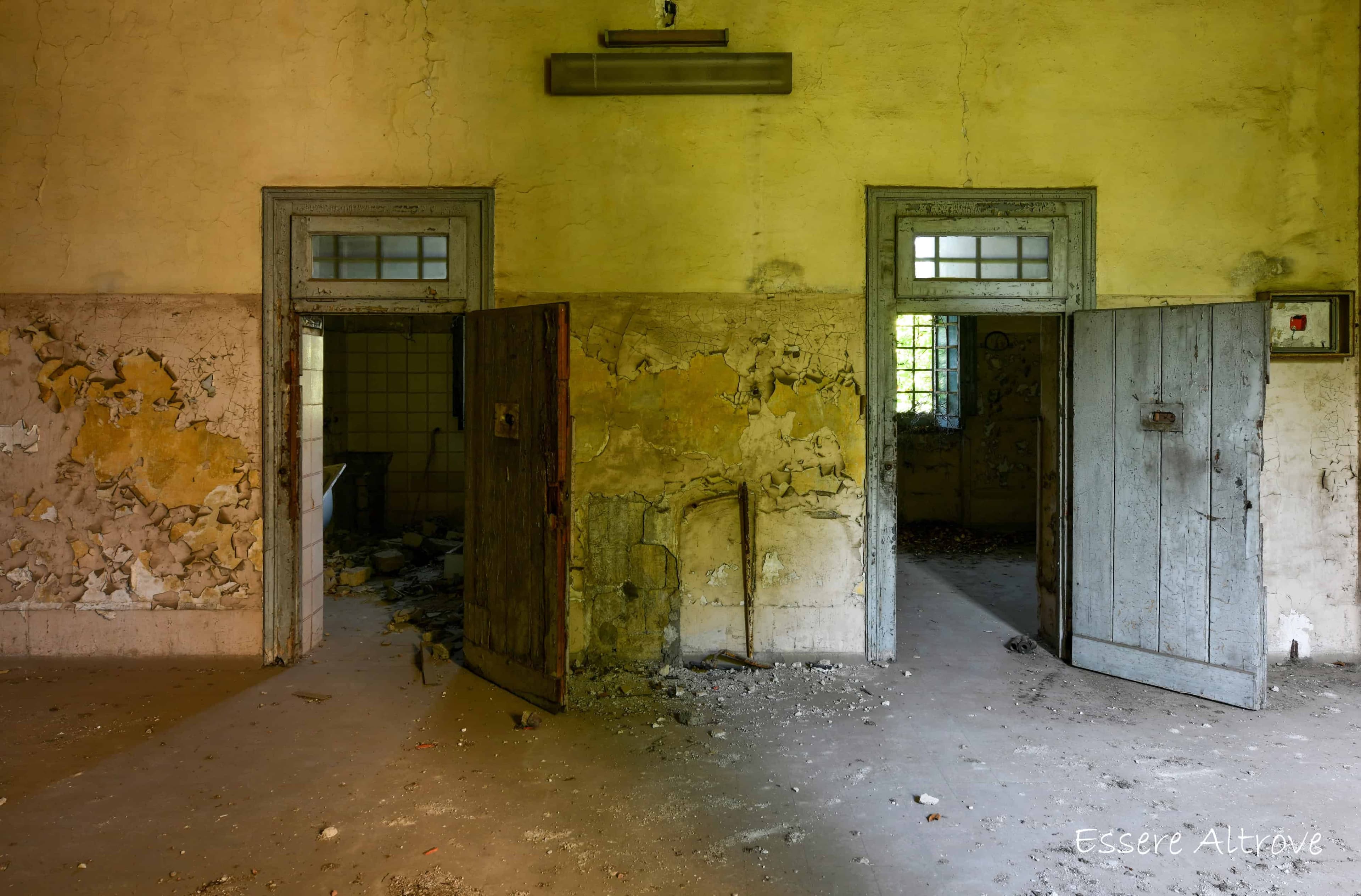 Immagine articolo