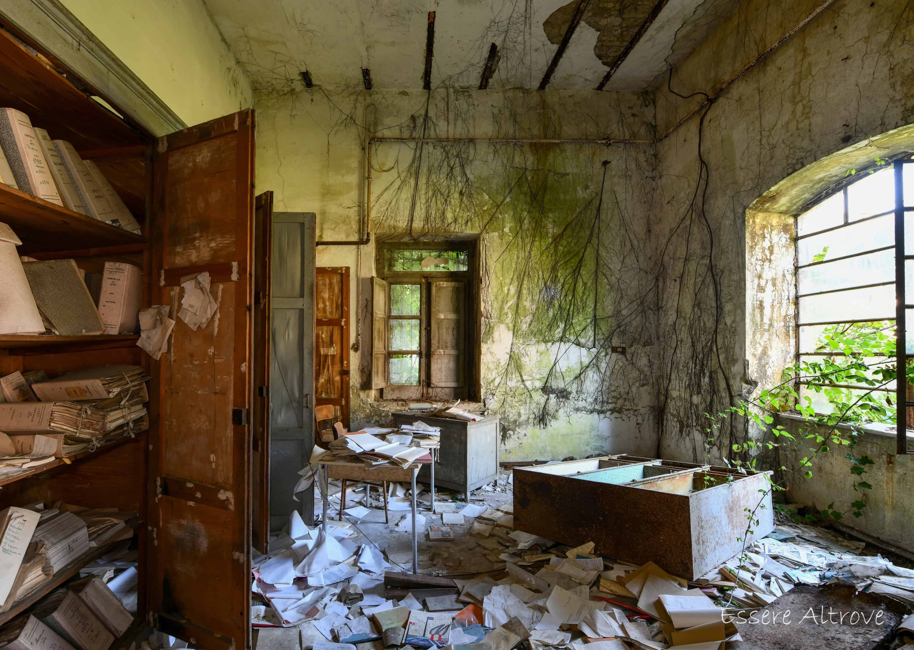 Immagine articolo