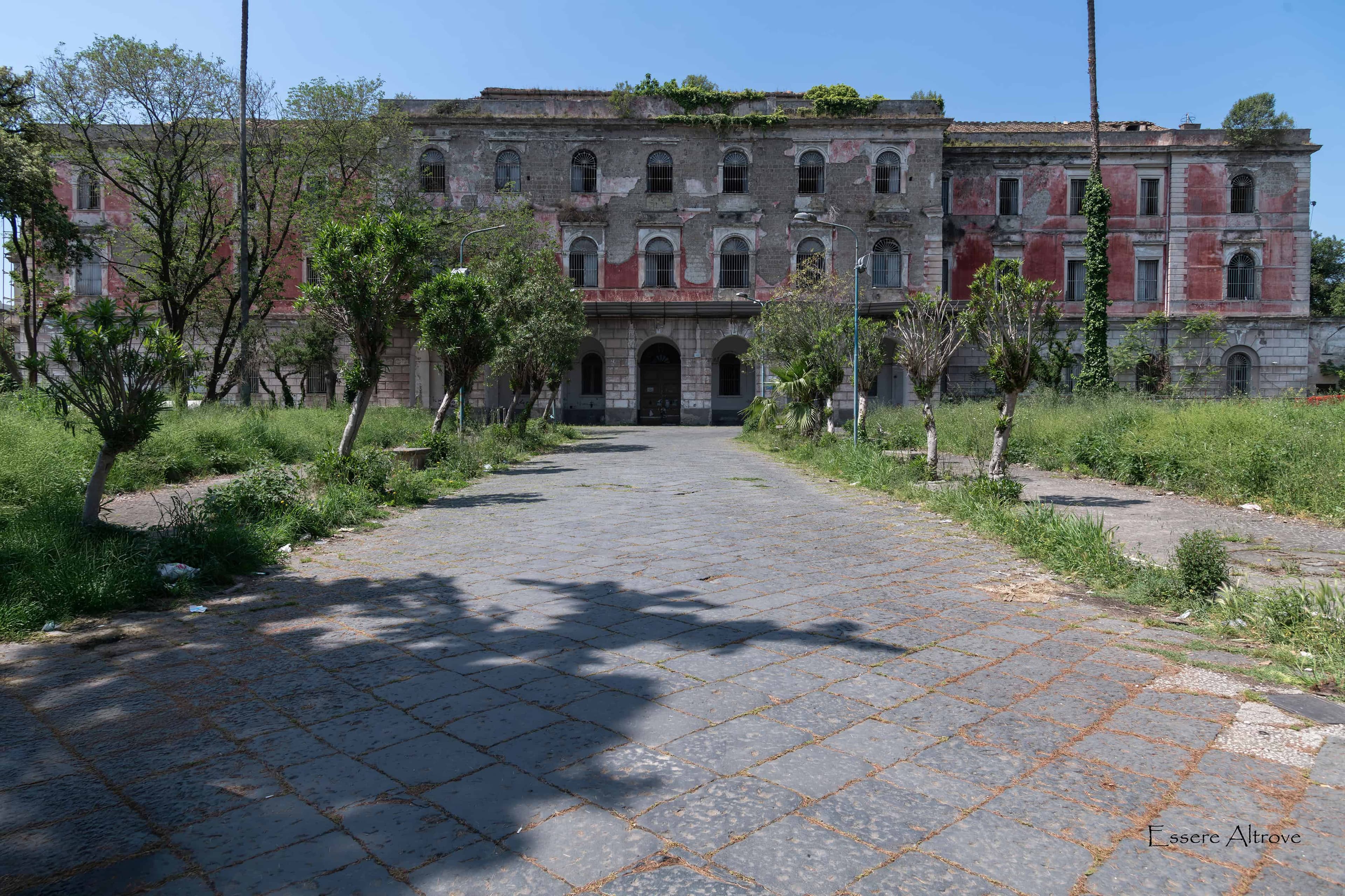 Immagine articolo