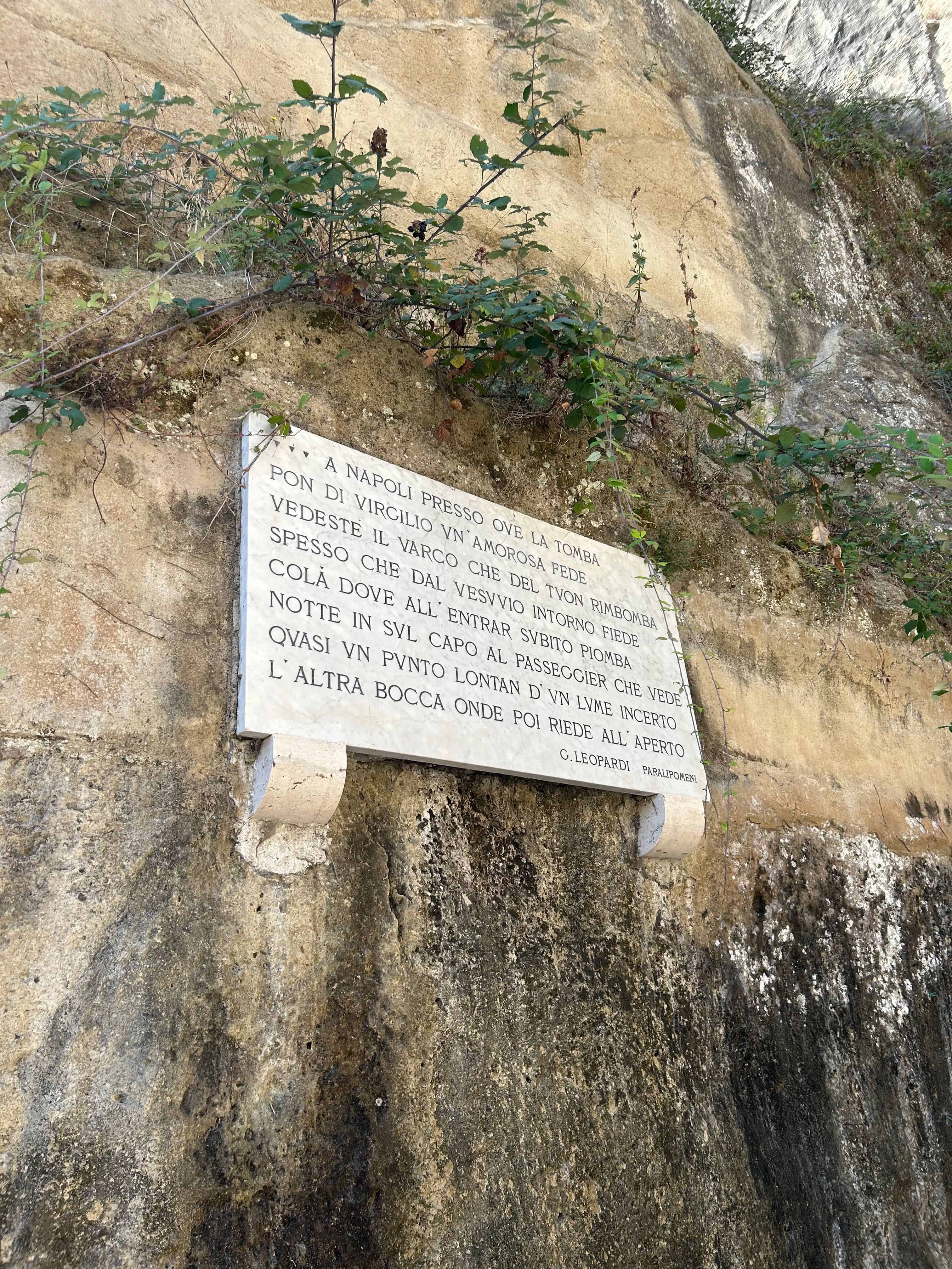 Immagine articolo