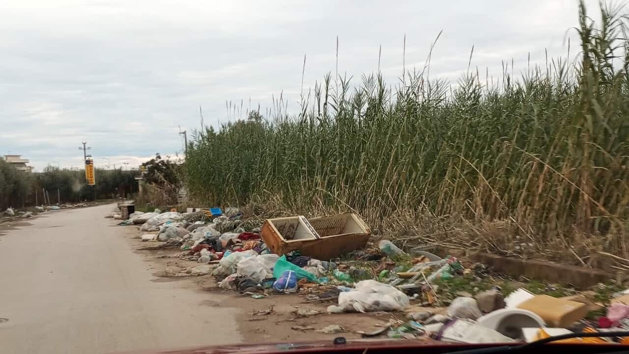 Rifiuti abbandonati e responsabilità dei proprietari