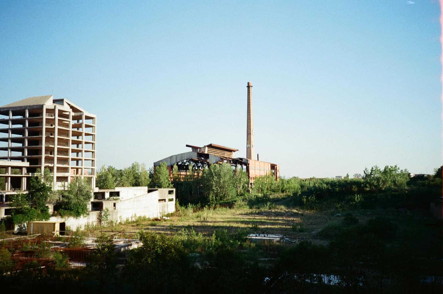 Immagine articolo