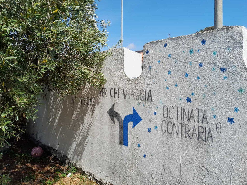 Immagine articolo