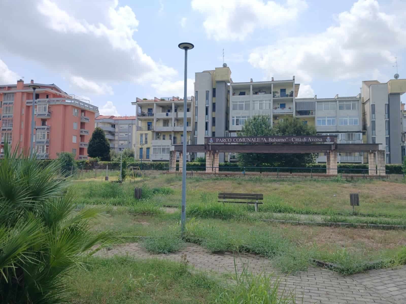 INTERVISTA. Il verde perduto di Aversa e le considerazioni dell'Assessora Dello Margio