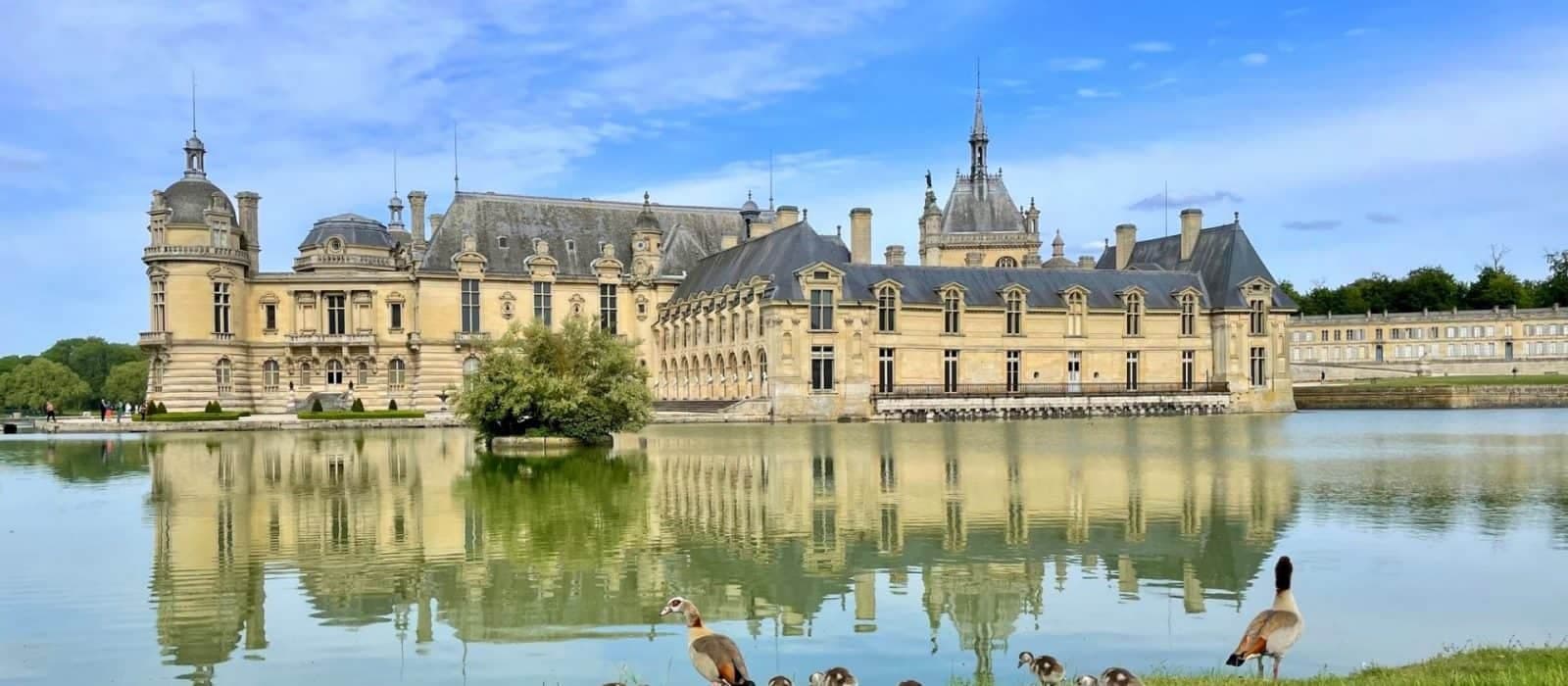 Il castello di Chantilly in Francia apre le porte con una mostra dedicata a Carolina Bonaparte